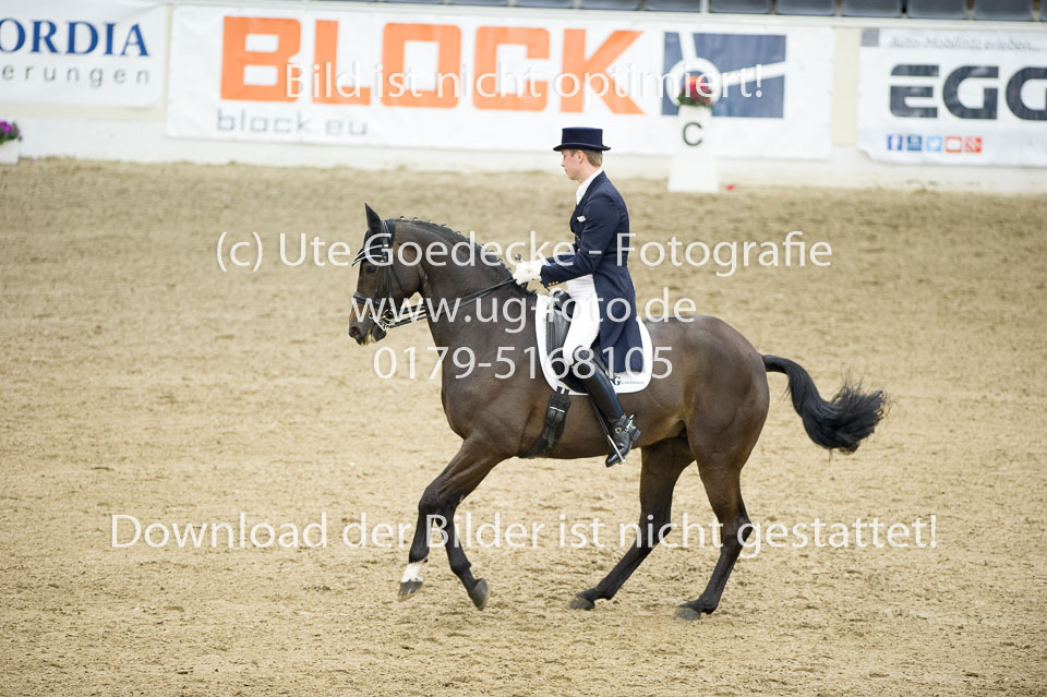 Gießelmann,-Jan-Dirk---Haya-17_28.jpg