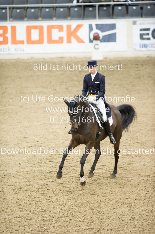 Gießelmann,-Jan-Dirk---Haya-17_33.jpg