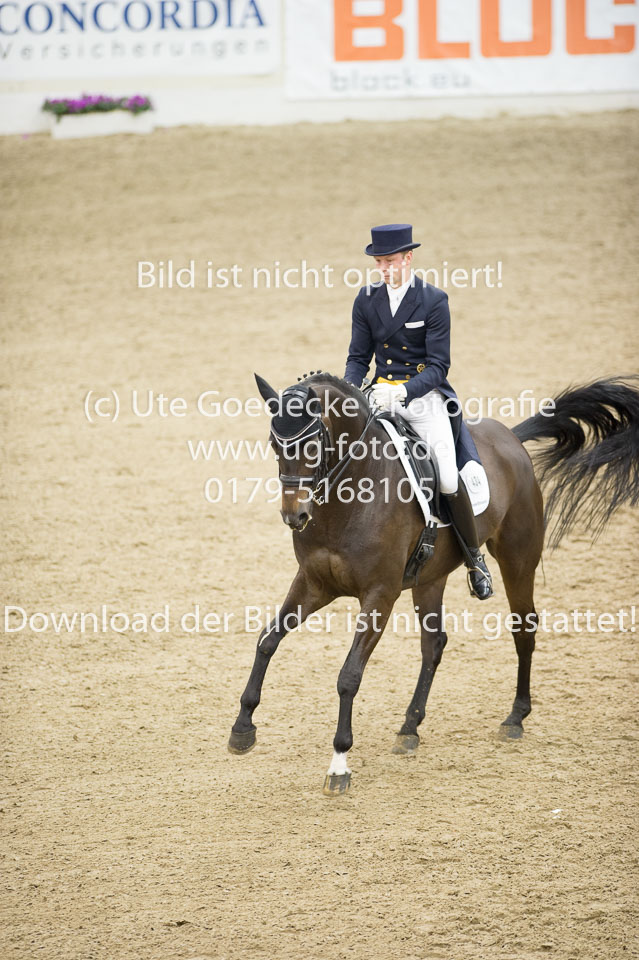 Gießelmann,-Jan-Dirk---Haya-17_35.jpg