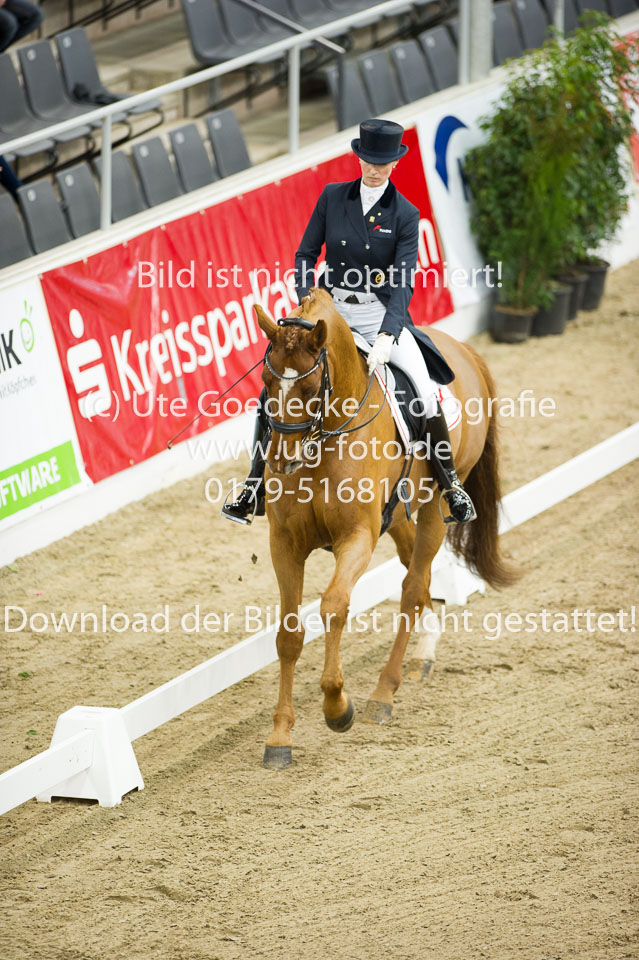Hahn,-Frederike---Destino-59_01.jpg