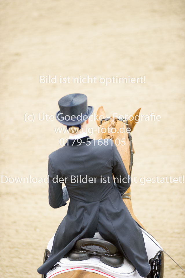 Hahn,-Frederike---Destino-59_02.jpg