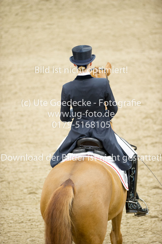 Hahn,-Frederike---Destino-59_03.jpg