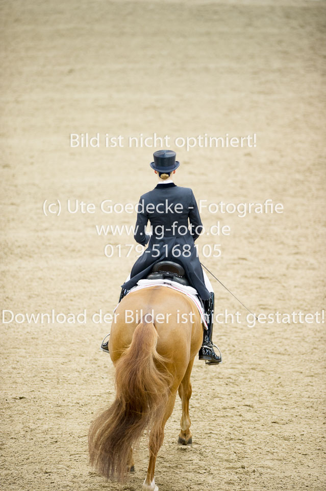 Hahn,-Frederike---Destino-59_04.jpg