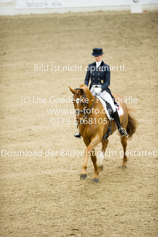 Hahn,-Frederike---Destino-59_08.jpg