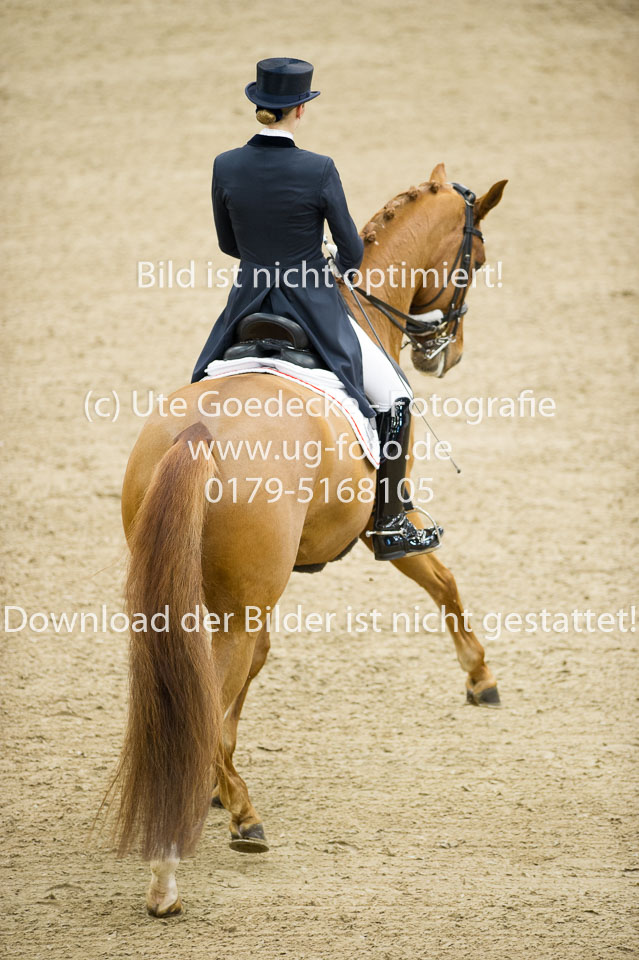 Hahn,-Frederike---Destino-59_10.jpg