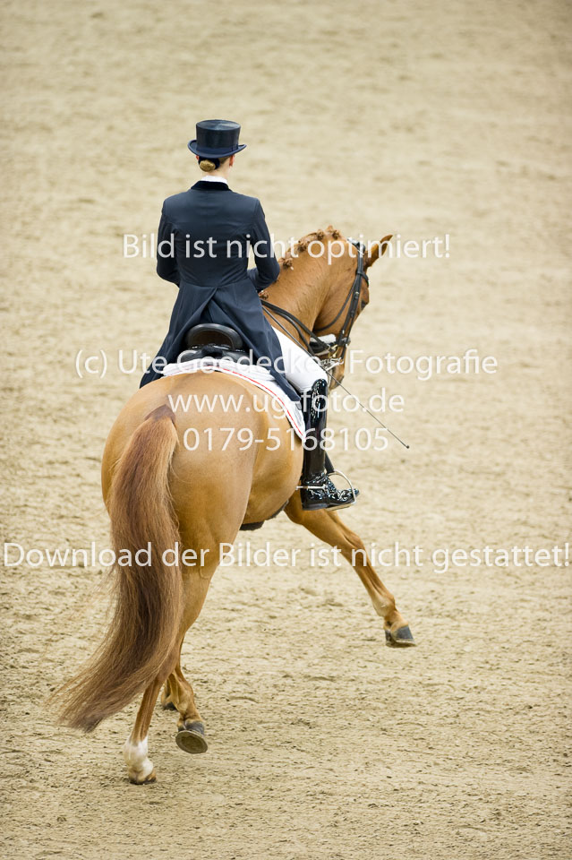 Hahn,-Frederike---Destino-59_11.jpg