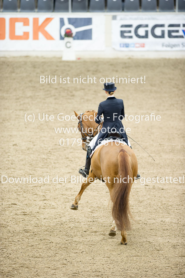 Hahn,-Frederike---Destino-59_13.jpg