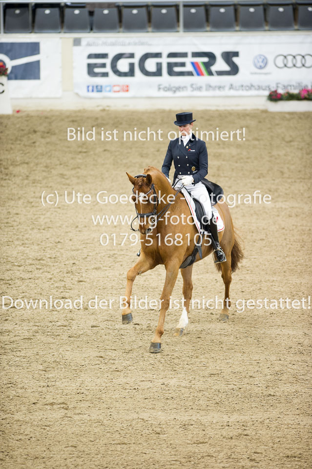 Hahn,-Frederike---Destino-59_20.jpg