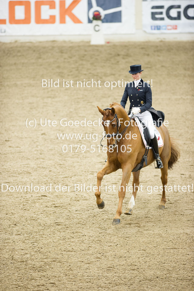 Hahn,-Frederike---Destino-59_21.jpg