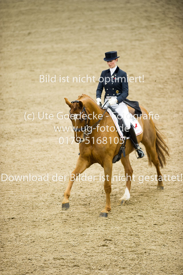Hahn,-Frederike---Destino-59_22.jpg