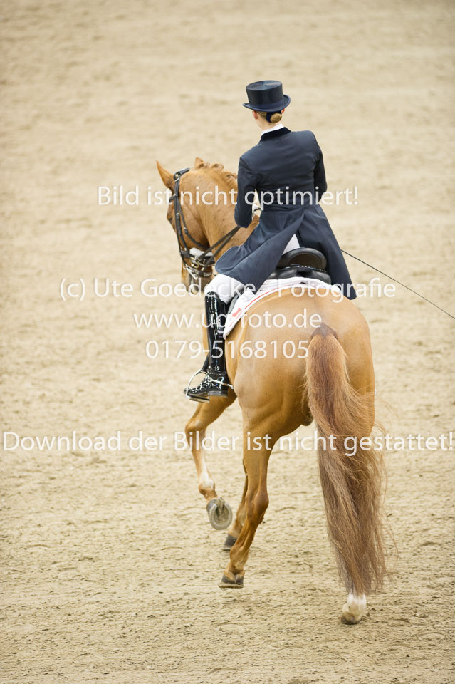 Hahn,-Frederike---Destino-59_23.jpg