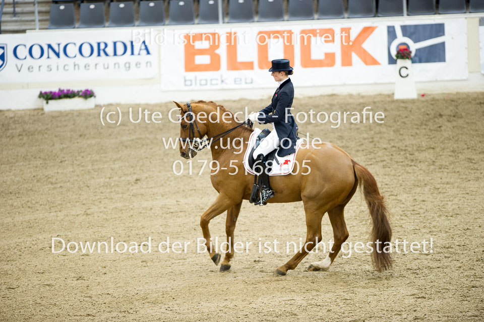 Hahn,-Frederike---Destino-59_24.jpg