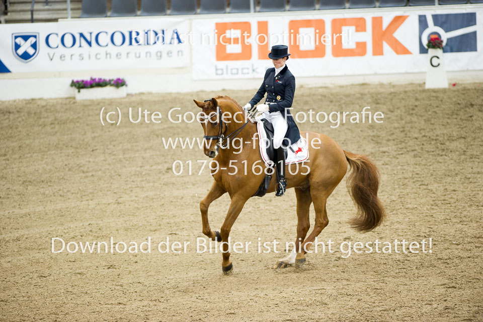 Hahn,-Frederike---Destino-59_25.jpg