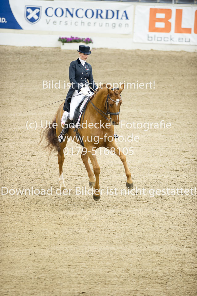 Hahn,-Frederike---Destino-59_27.jpg