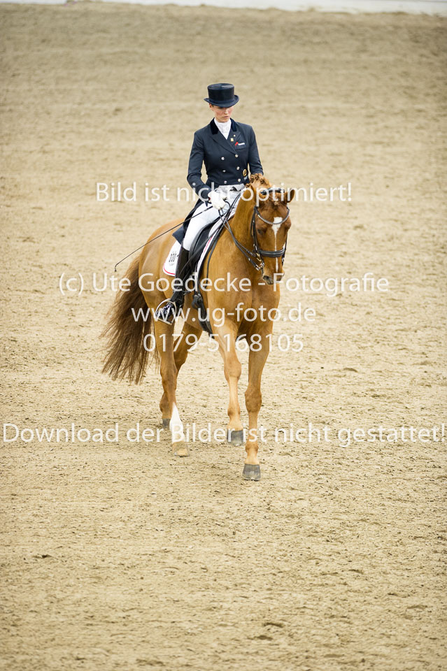 Hahn,-Frederike---Destino-59_28.jpg