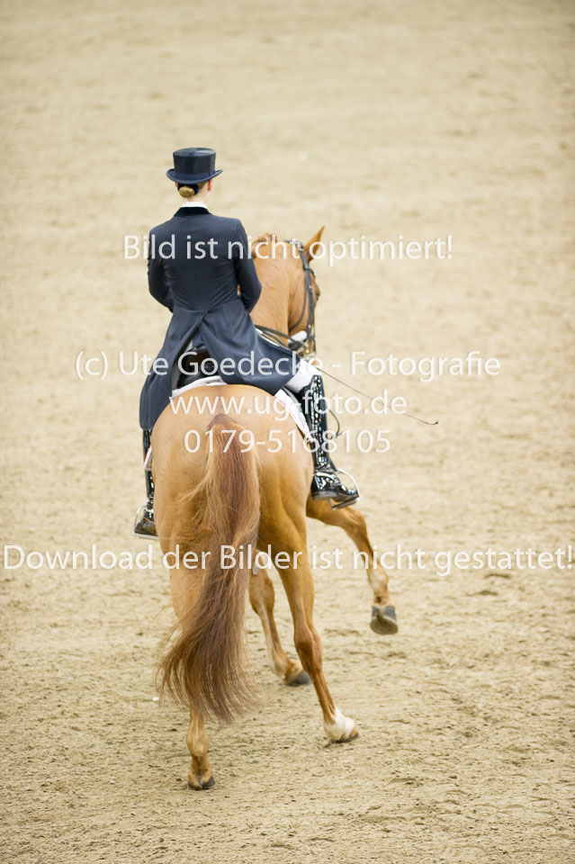 Hahn,-Frederike---Destino-59_30.jpg