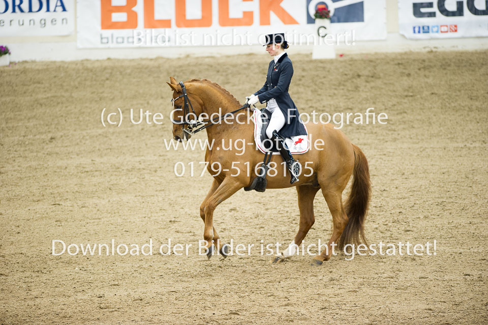Hahn,-Frederike---Destino-59_33.jpg