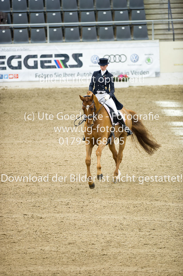 Hahn,-Frederike---Destino-59_35.jpg