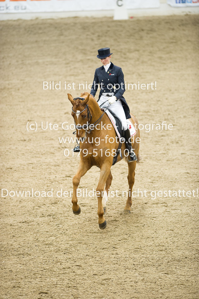 Hahn,-Frederike---Destino-59_36.jpg