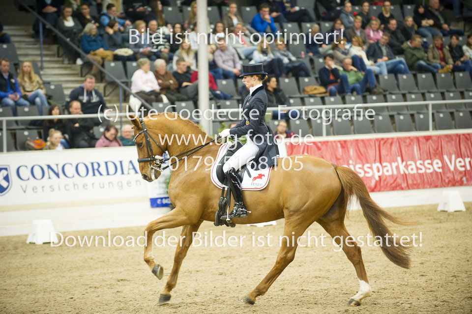 Hahn,-Frederike---Destino-59_39.jpg