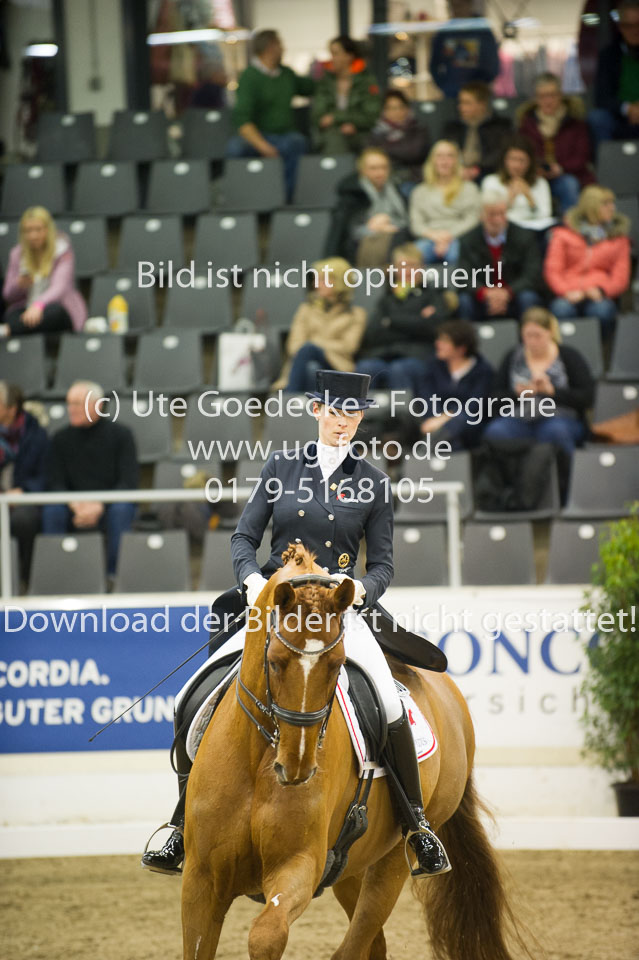 Hahn,-Frederike---Destino-59_40.jpg
