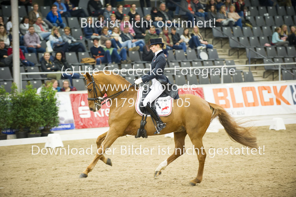 Hahn,-Frederike---Destino-59_44.jpg