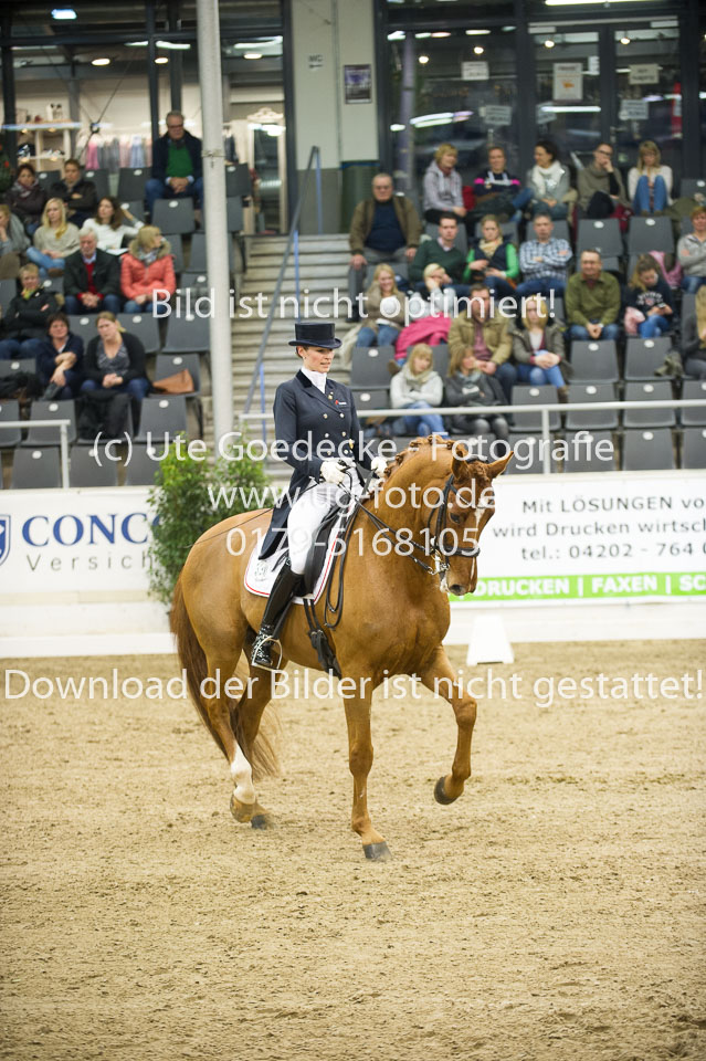 Hahn,-Frederike---Destino-59_46.jpg