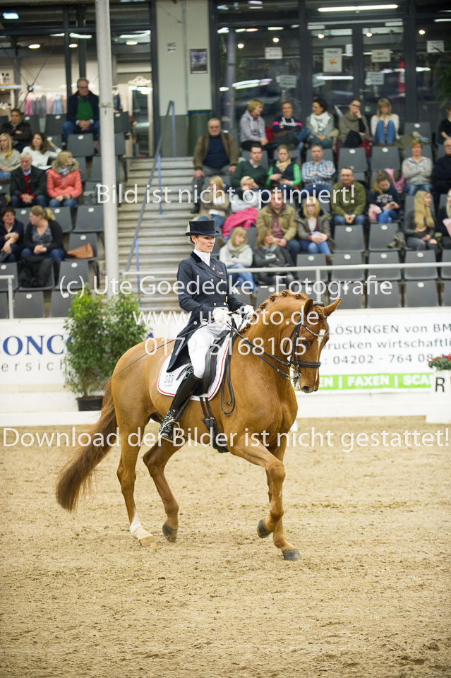 Hahn,-Frederike---Destino-59_47.jpg