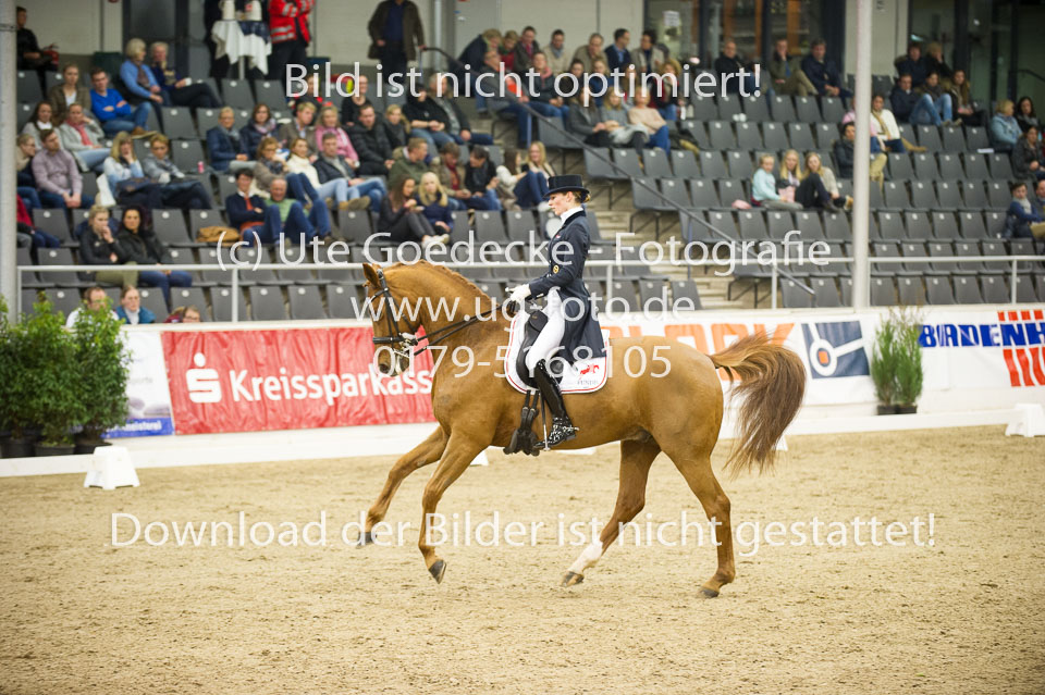 Hahn,-Frederike---Destino-59_53.jpg