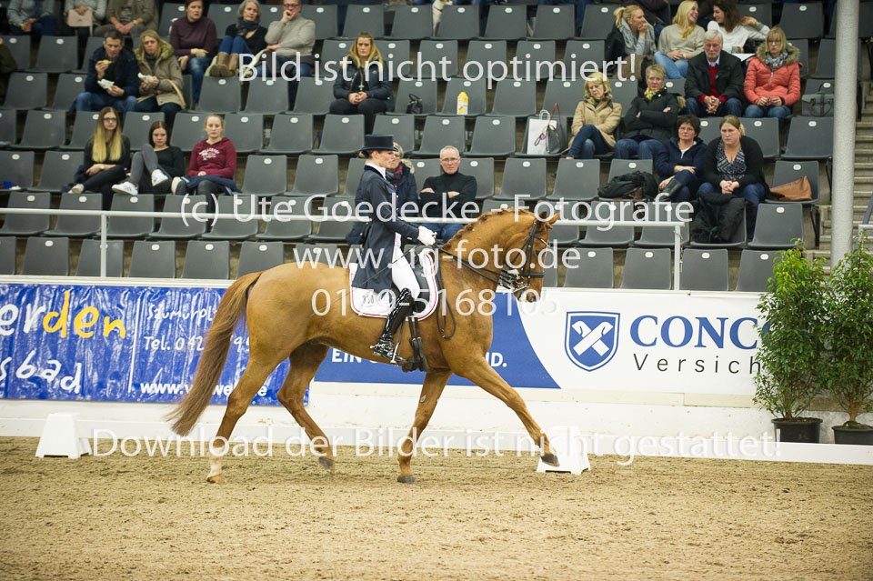 Hahn,-Frederike---Destino-59_58.jpg