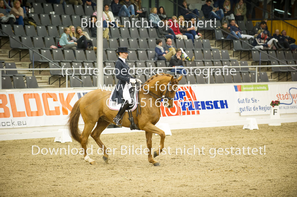 Hahn,-Frederike---Destino-59_62.jpg