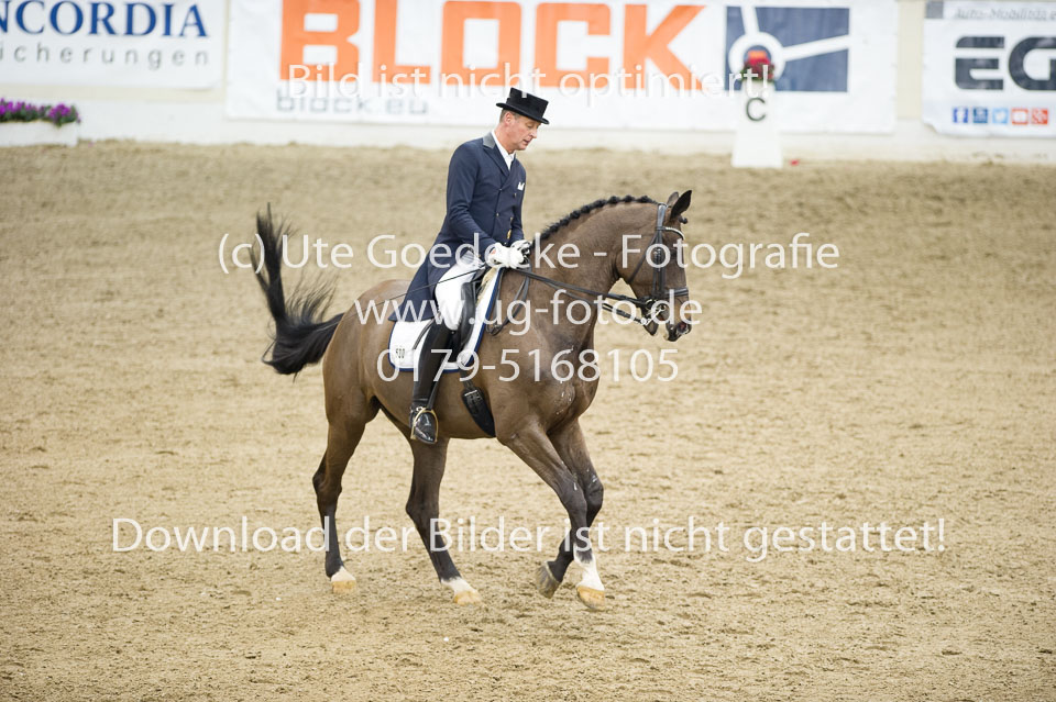 Koch,-Peter---Seal-4_30.jpg