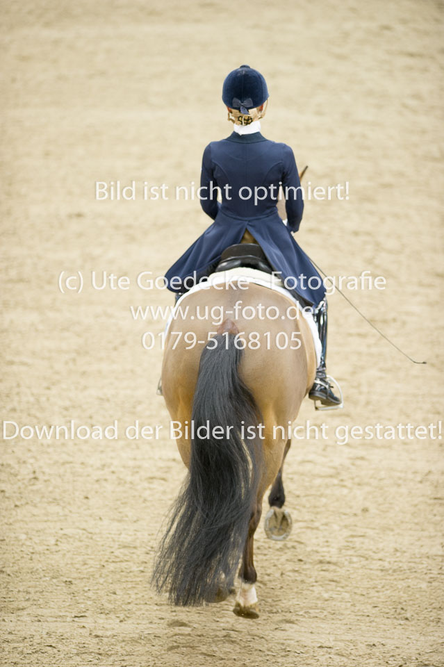Merveldt,-Patricia-von---Zalentijn-Rose-_01.jpg