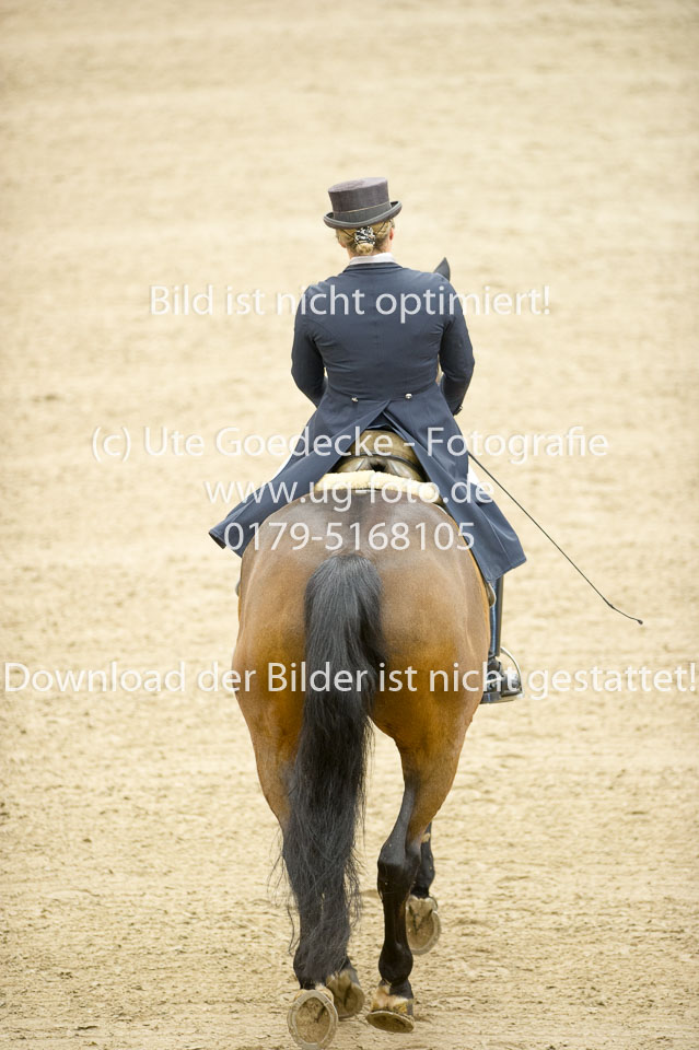 Scheminowski,-Iris---Wettiner_02.jpg