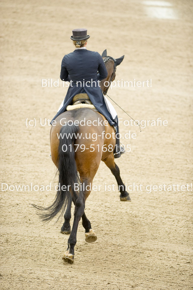 Scheminowski,-Iris---Wettiner_05.jpg