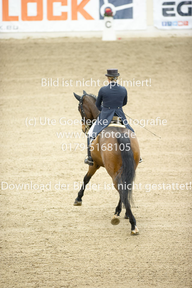 Scheminowski,-Iris---Wettiner_08.jpg
