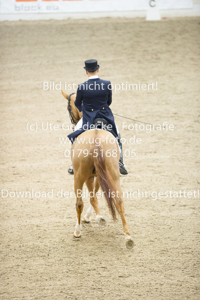 UG0_5437.jpg