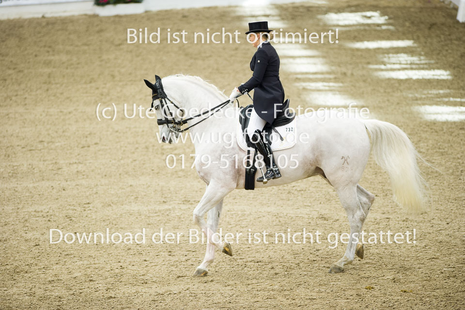 UG0_5879.jpg