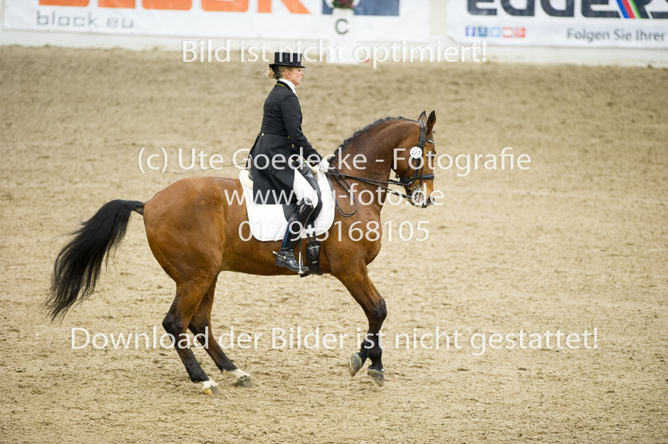 UG0_6015.jpg