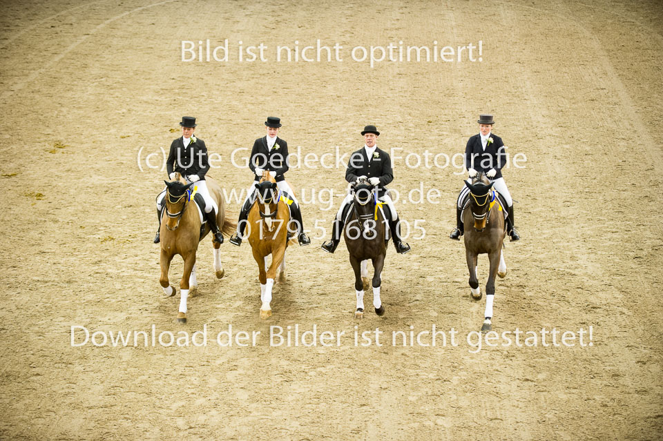 UG0_7779.jpg