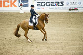 Hahn,-Frederike---Destino-59_32.jpg