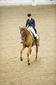Hahn,-Frederike---Destino-59_36.jpg