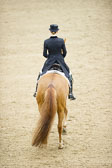 Hahn,-Frederike---Destino-59_37.jpg