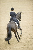 Nowag,-Carolin---Diamond-Child-_32.jpg