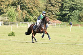 CIC*