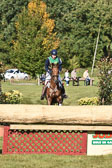 CIC*