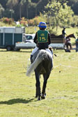 CIC*
