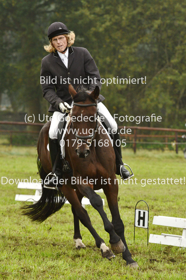 24092017--Dressur_07.jpg