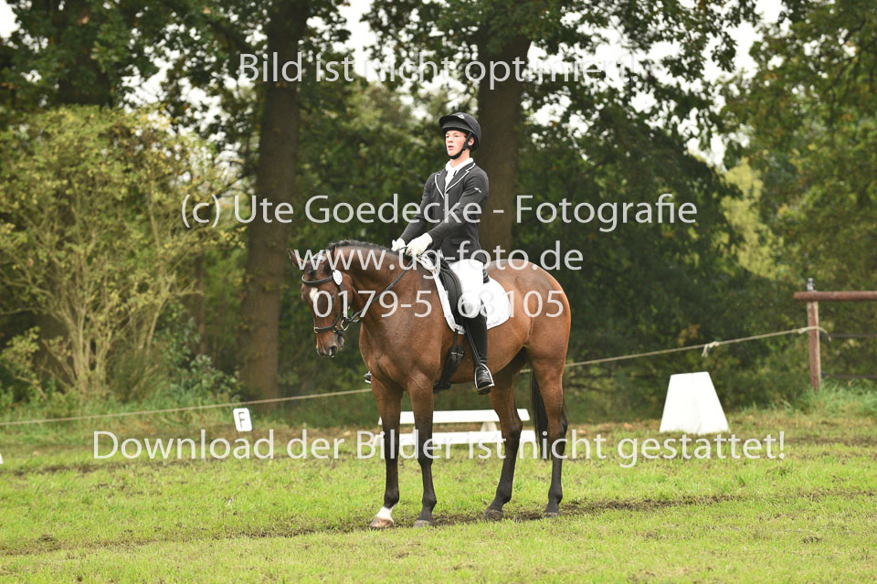 24092017--Dressur_09.jpg