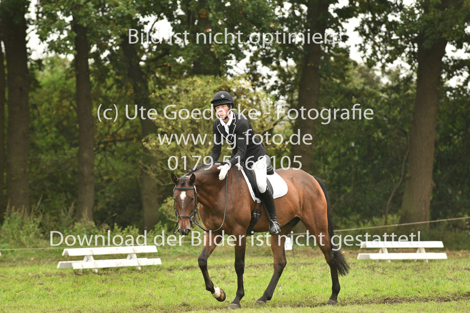 24092017--Dressur_10.jpg